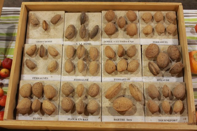 6 paca 73 amandes